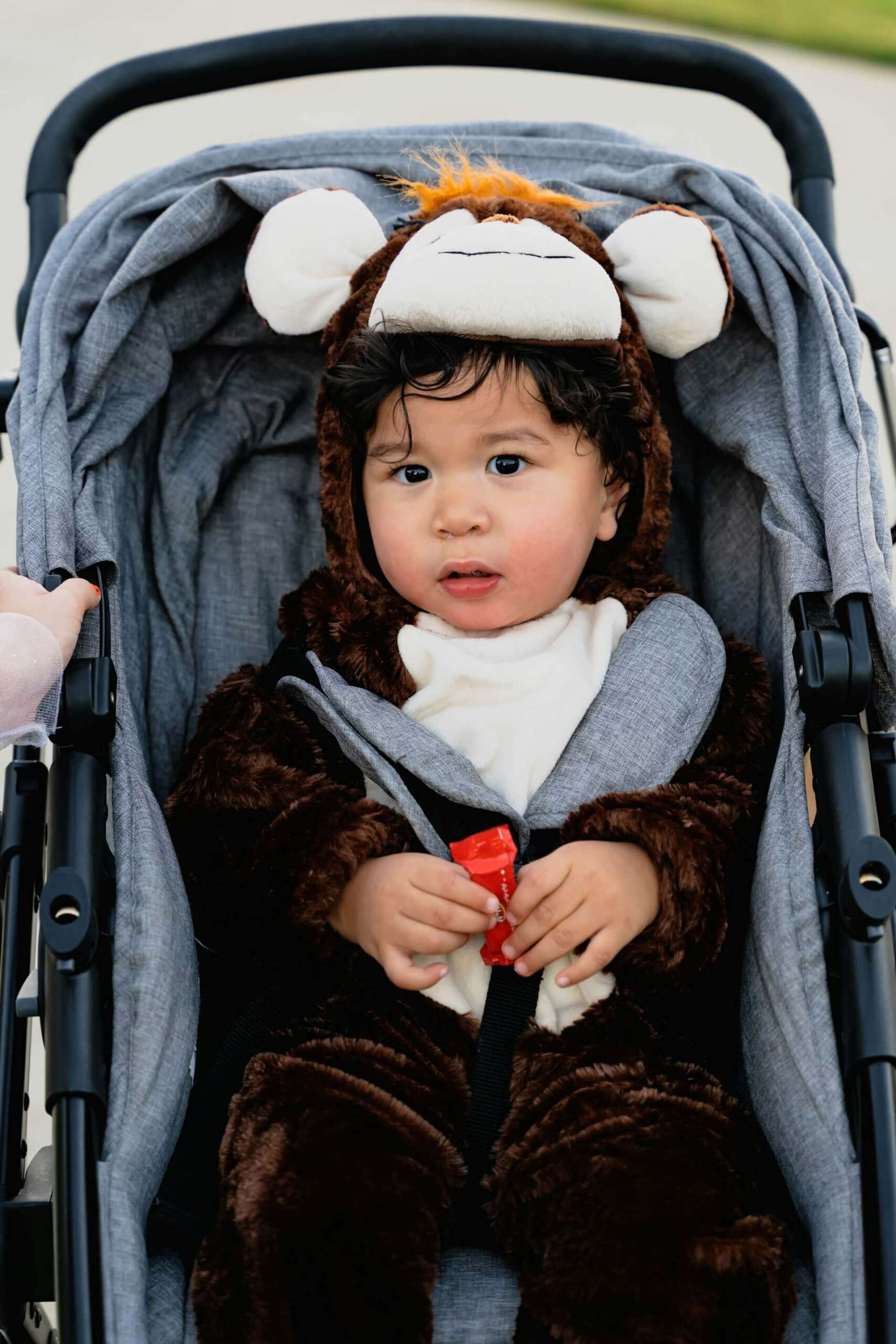 Child sitting in a stroller