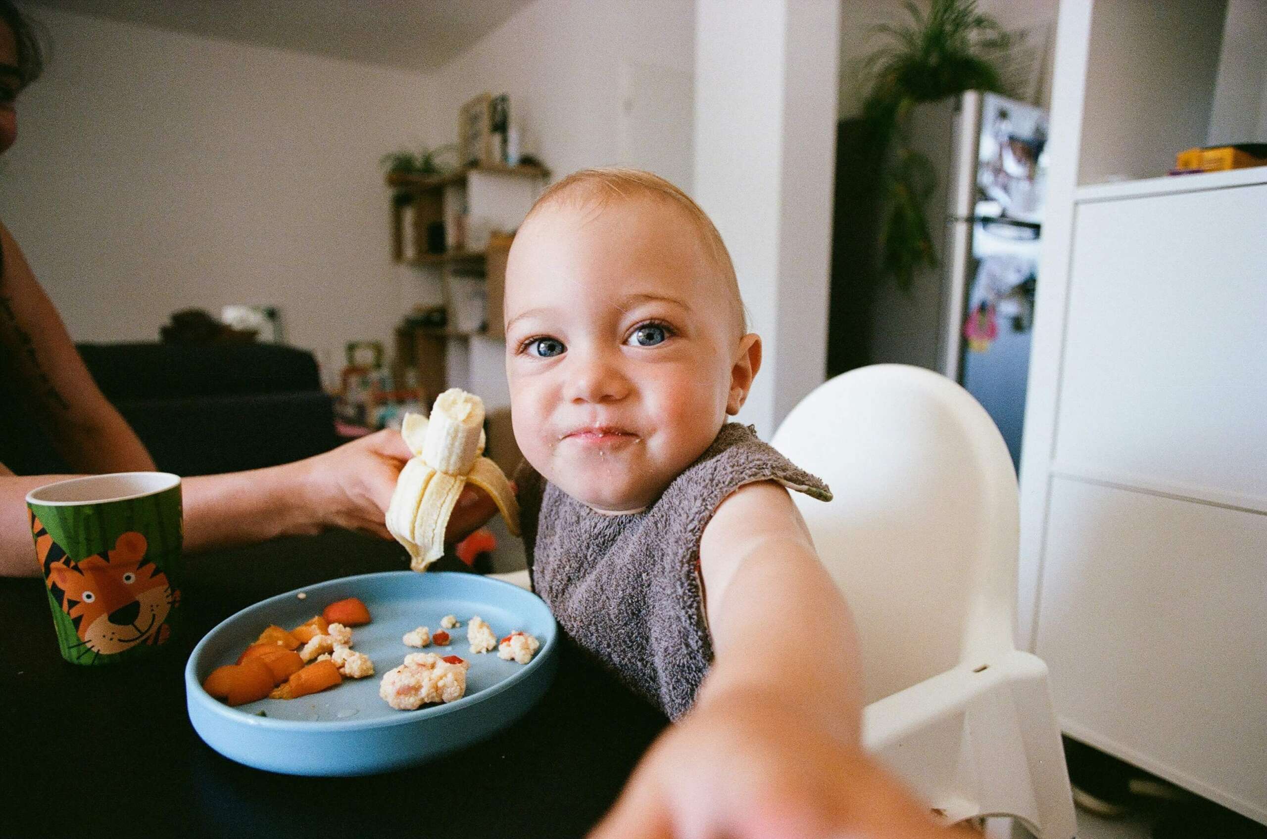 Baby eating a banana on a high chair